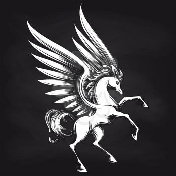 Black and white Pegasus on chalkboard design. Pegasus sketch background, vector illustration