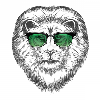 Hand drawn lion in sunglasses isolated on white background. Hipster lion print design vector illustration