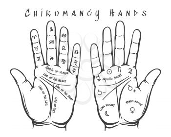 Chiromancy hands. Palmistry astrology mystic psychic hands for tarot cards, occult charts and fate prophecy esoteric vector illustration