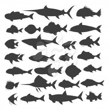 Fishes silhouettes. Fish of different shapes isolated on white background, vector illustration