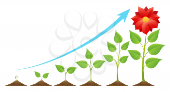 Seedling and growing. Planting timeline or growing stages cycle, green sprout on ground vector illustration