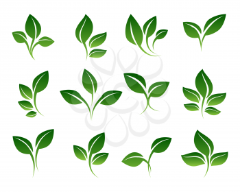 Green sprouts. Growing plants signs isolated on white background, vector sprouting shoots with green leaves symbols