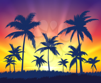 Tropical trees silhouettes on sunset. Beautiful landscape of resort with dark palms on sundown, vector illustration background of paradise travelling in island
