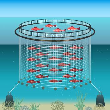 Floating farm. Marine agriculture enclosure, fish farming industrie polyester pool opening, underwater ocean farms technology nylon fishs corral equipment vector illustration