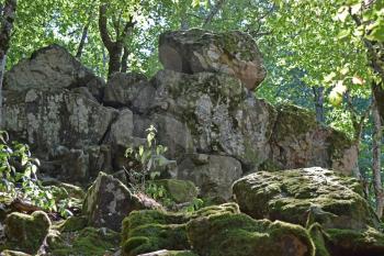 Devil's Finger. The rock damaged by explosion in the woods of Kuban.