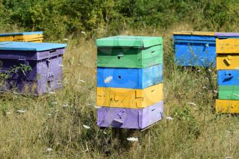 Colourful beehives. Small apiary in the foothills.