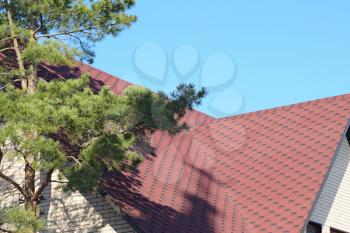 Decorative metal tile on a roof. Types of a roof of roofs. Near conifer.