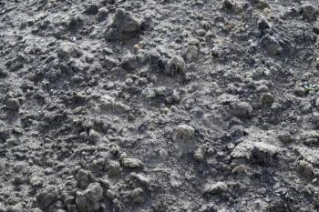 Background from the hardened cement mortar. Texture of concrete.