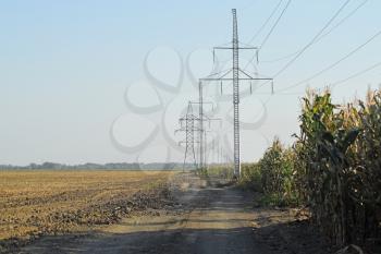 Power poles near the cornfield. Rural landscape.