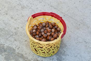 Nuts hazelnuts in a yellow plastic bucket.