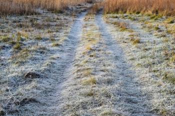 The road to the frosted grass. Frost on the road.