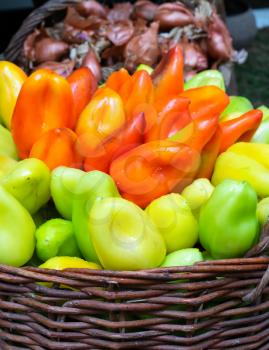 Bulgarian pepper is green and red in the basket.