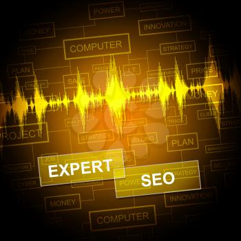 Expert Seo Indicating Search Engine And Sem
