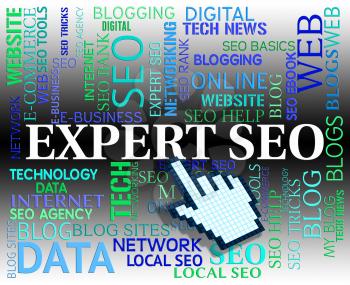 Expert Seo Indicating Search Engines And Www
