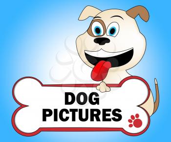 Dog Pictures Indicating Puppies Pets And Photo
