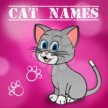 Cat Names Meaning Pet Puss And Pedigree