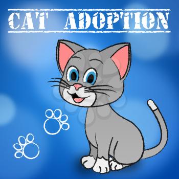 Cat Adoption Showing Feline Adopted And Pets