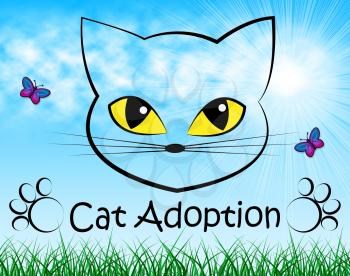 Cat Adoption Meaning Pedigree Adopting And Feline