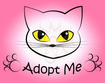 Cat Adoption Meaning Pets Puss And Adopting