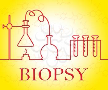 Biopsy Test Representing Equipments Researching And Assessment