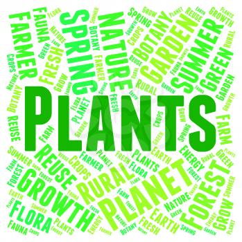 Plants Word Representing Flora Verdure And Foilage
