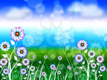 Flowers Background Meaning Blossoms Petals And Blooming
