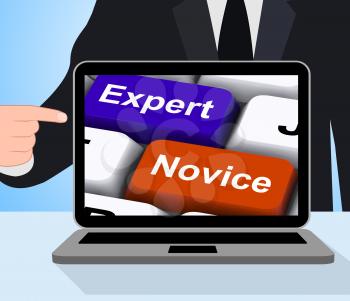 Expert Novice Keys Displaying Beginners And Experts