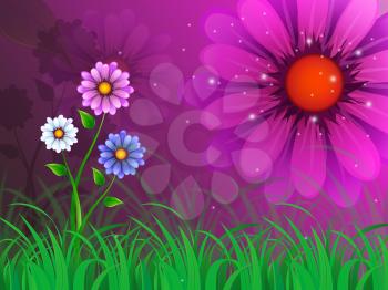 Flowers Background Meaning Garden Spring And Blooming
