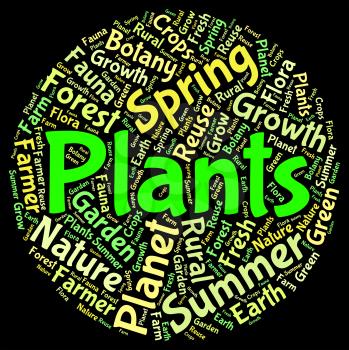 Plants Word Showing Botany Verdure And Flora