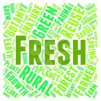 Fresh Word Showing Text Freshest And Natural