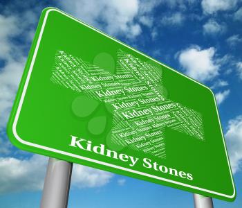 Kidney Stones Meaning Ill Health And Ailment