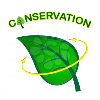 Leaf Conservation Showing Go Green And Ecosystem
