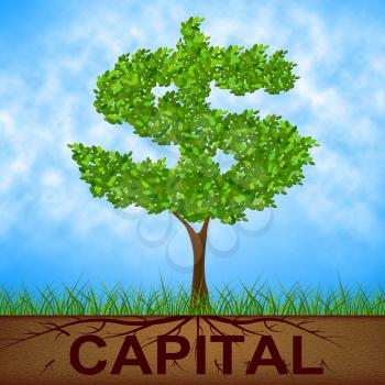 Capital Tree Representing United States And Usd