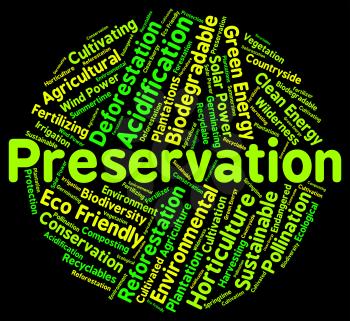Preservation Word Meaning Earth Friendly And Environment