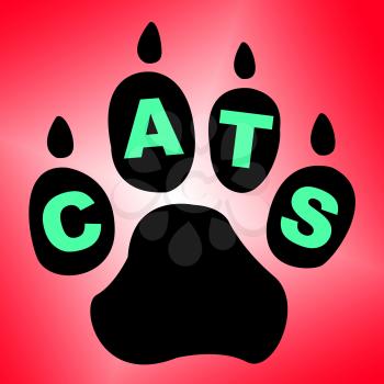 Cats Paw Indicating Animal Care And Kitty