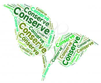 Conserve Word Showing Preserving Words And Sustain