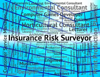 Insurance Risk Surveyor Showing Insures Occupation And Assesser