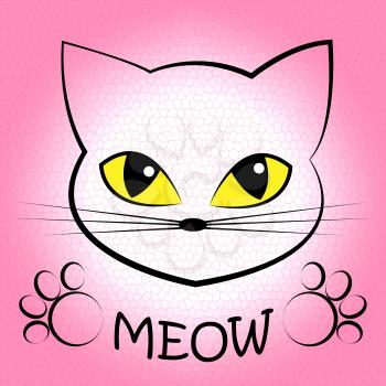 Cat Meow Meaning Feline Noise And Sound