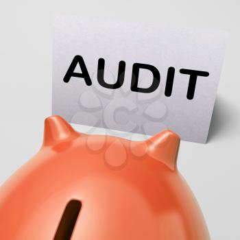 Audit Piggy Bank Showing Inspect Analyze And Verify