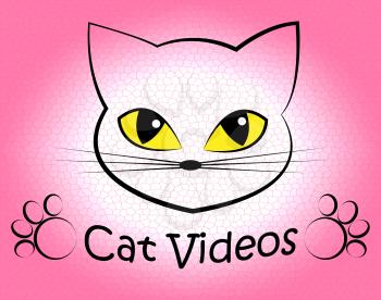 Cat Videos Representing Puss Movie And Kitty