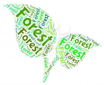 Forest Word Meaning Jungle Copse And Forests