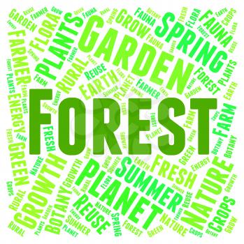 Forest Word Representing Woods Copse And Woodlands