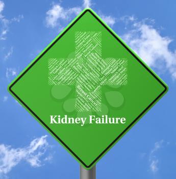 Kidney Failure Meaning Lack Of Success And Ill Health