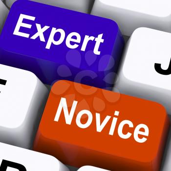 Expert Novice Keys Showing Beginners And Experts