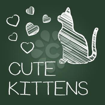 Cute Kittens Showing Domestic Cat And Lovely