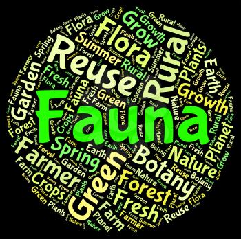 Fauna Word Representing Animal Life And Creatures