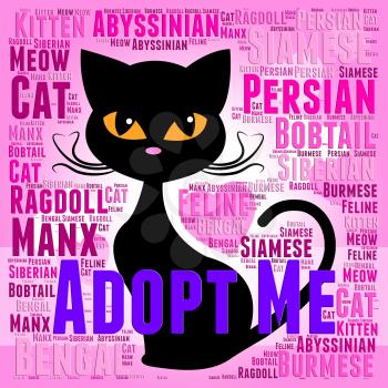 Adopt Cat Representing Guardian Pets And Adopted