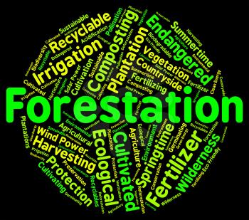 Forestation Word Indicating Text Trees And Park