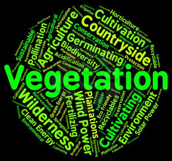Vegetation Word Meaning Plant Life And Botany