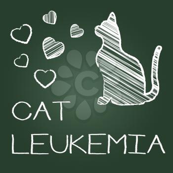 Cat Leukemia Meaning Pedigree Felines And Kitty
